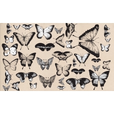 Панно, Метелики, 01, Spring Collection 2017, The O