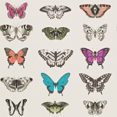 Шпалери, 111079, Papilio, Amazilia, Harlequin