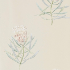 Шпалери, 216329, Protea Flower, Art Of The Garden, Sanderson