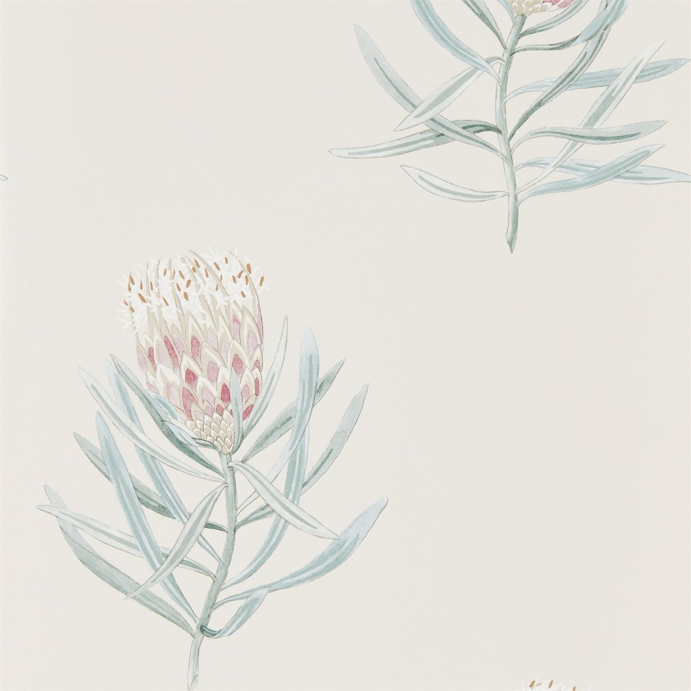 Шпалери, 216330, Protea Flower, Art Of The Garden, Sanderson