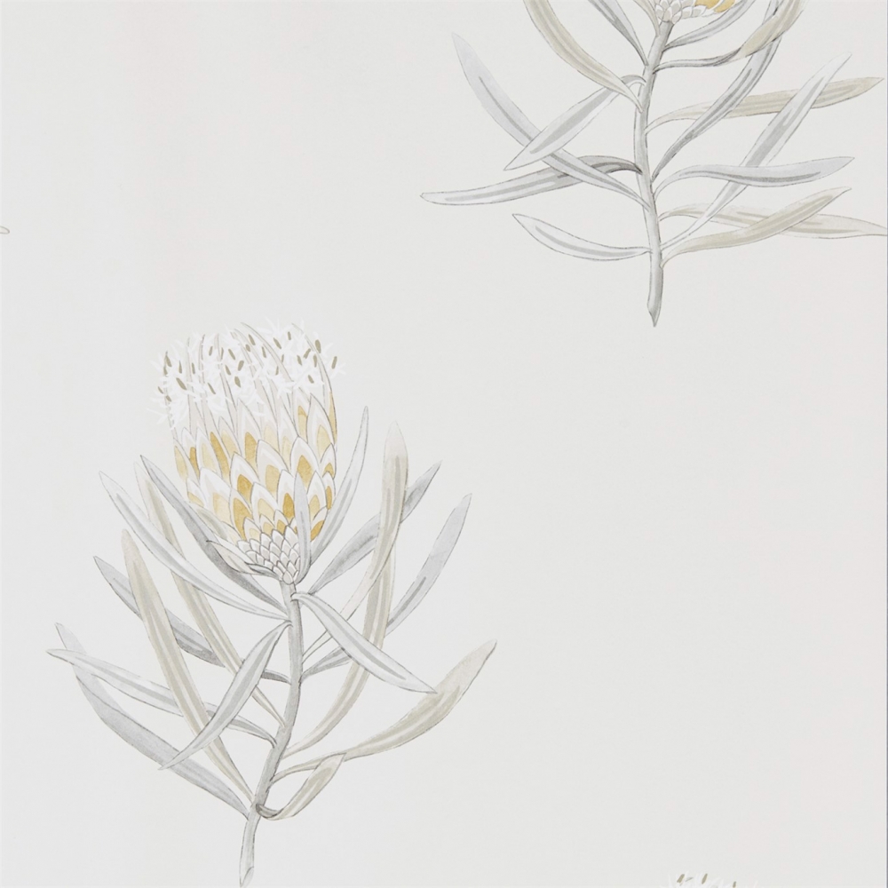 Шпалери, 216328, Protea Flower, Art Of The Garden, Sanderson